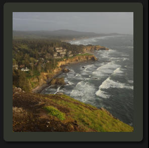 Photo by Greening Ways