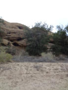 Photo by Greening Ways