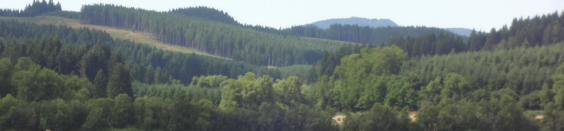 photo by greening ways